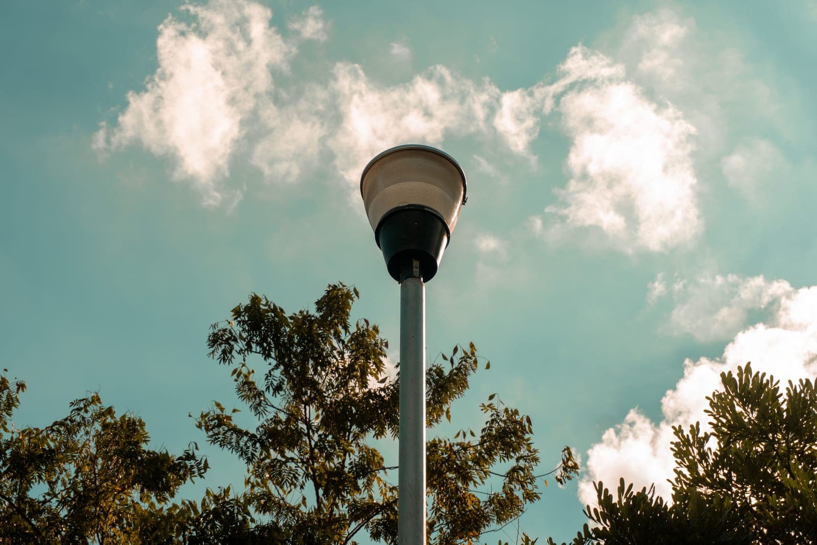 A slim steel garden pole against a pale sky