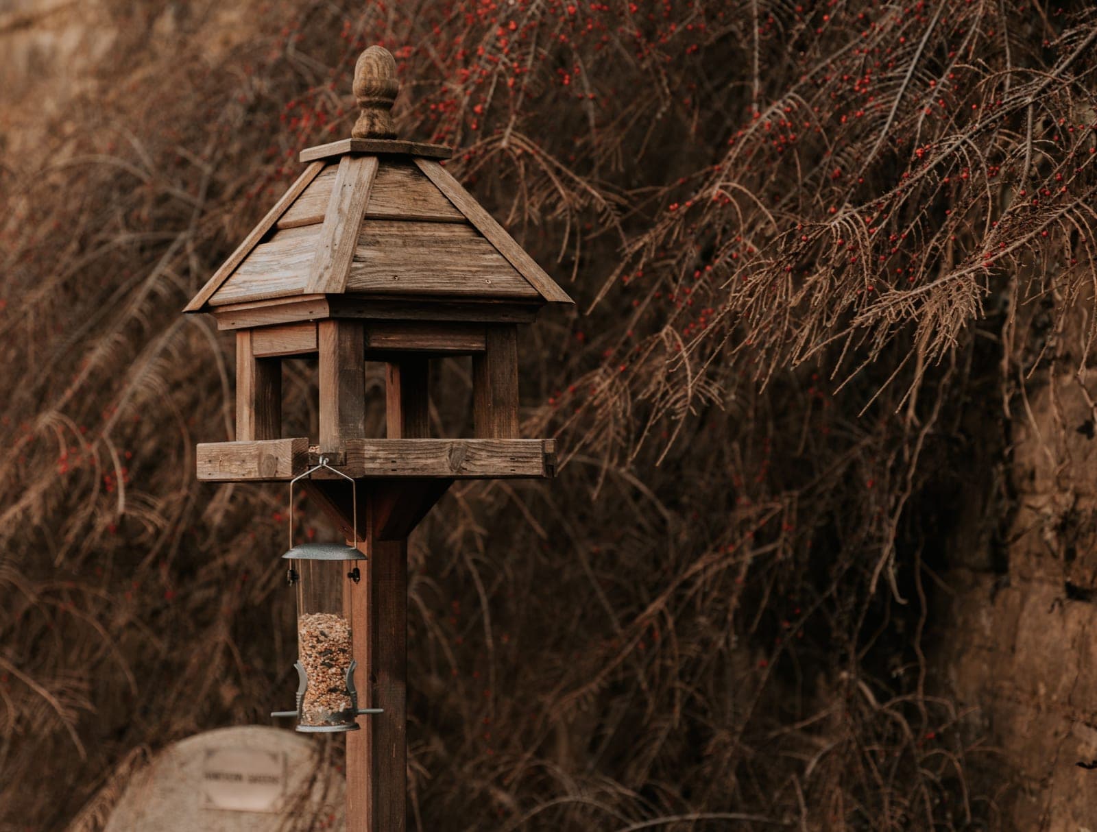 A bird feeding station standing in an open backyard