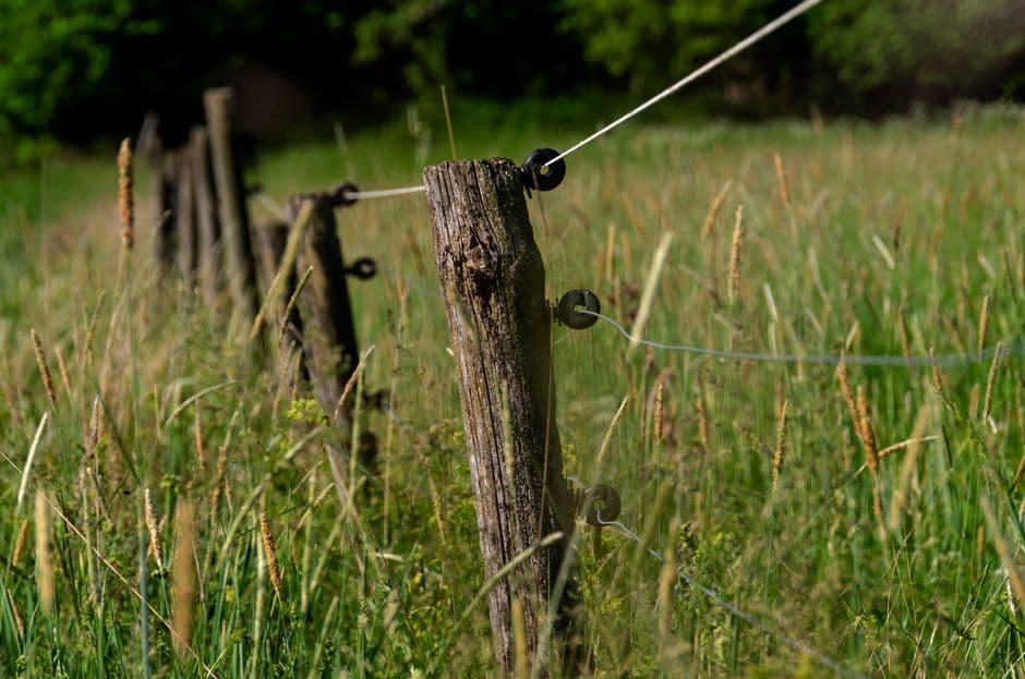 A wooden fence standing in a green meadow