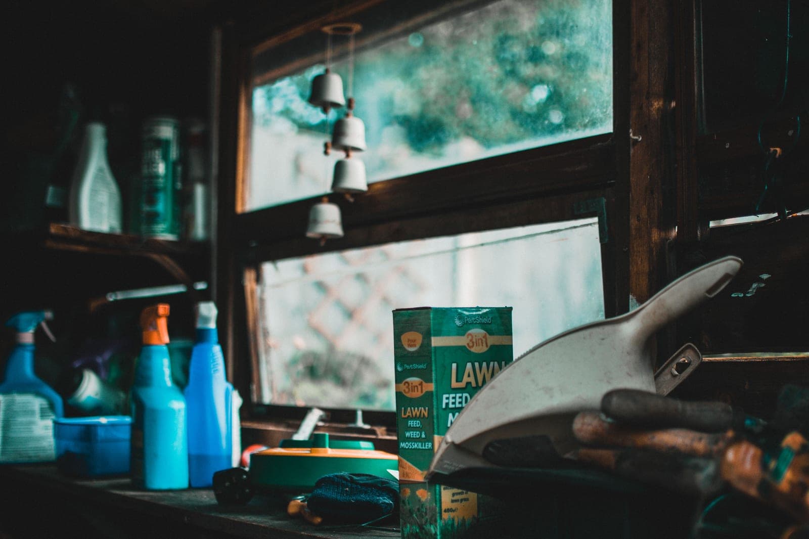 Garden tools laid out on a bright workbench