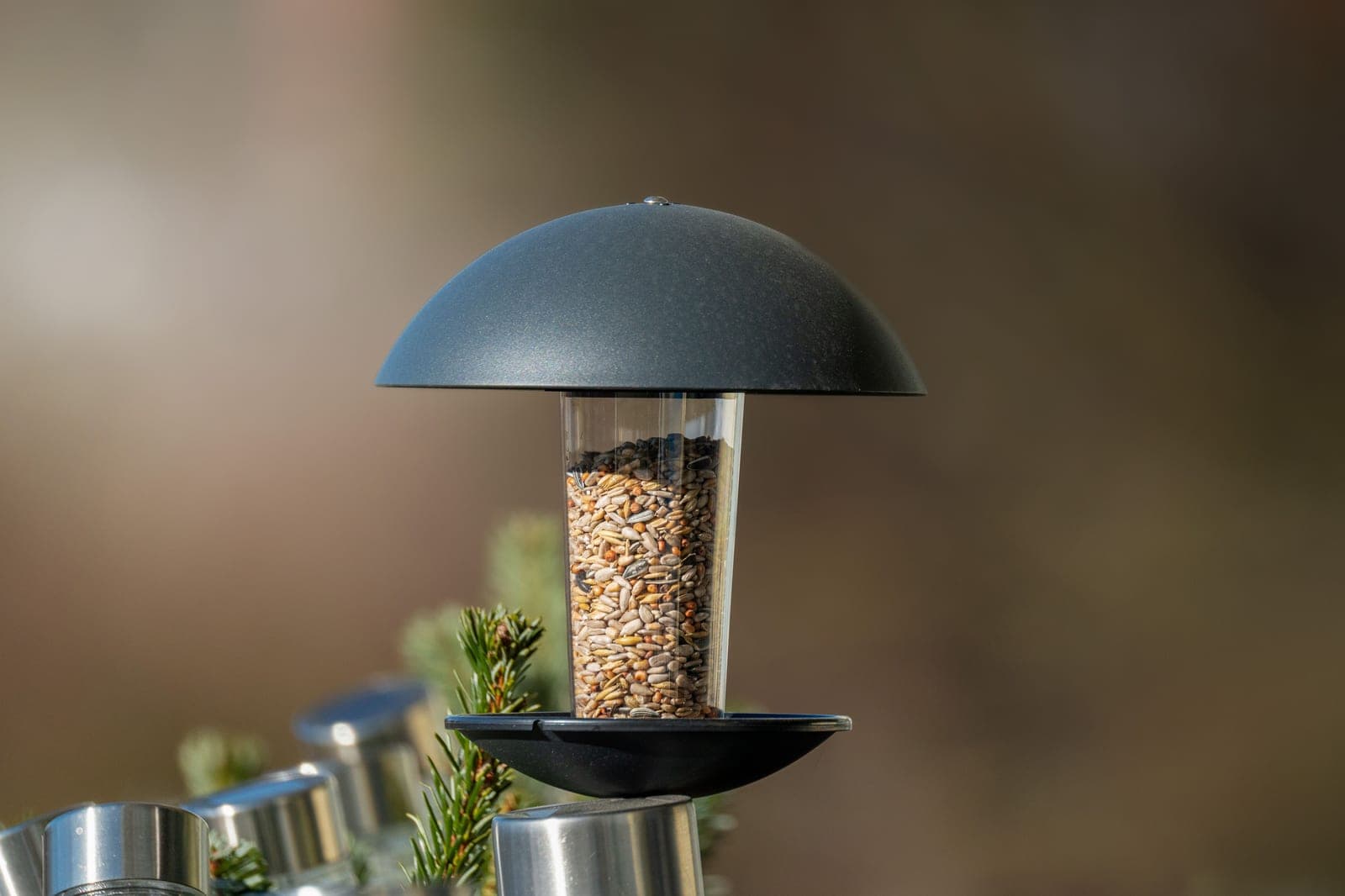 Close-up of a metal bird feeder pole outdoors in soft light
