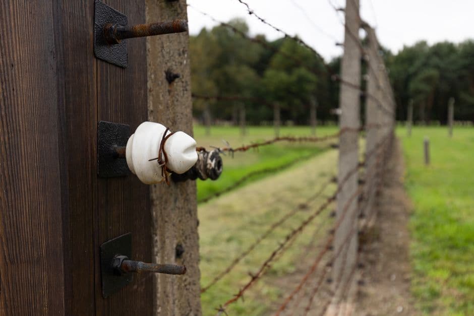 A close-up of an insulator on a fence wire with a wooden post in a green field