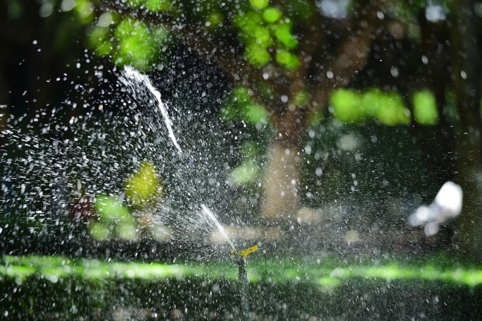 A garden sprinkler head spraying water across a lawn in sunlight
