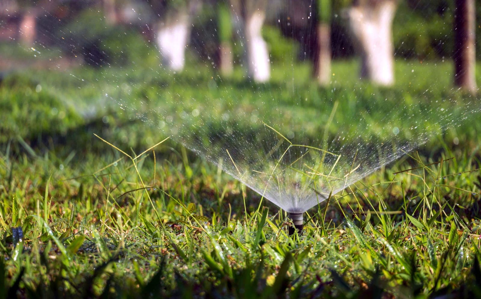 A sprinkler throwing a jet of water across green grass