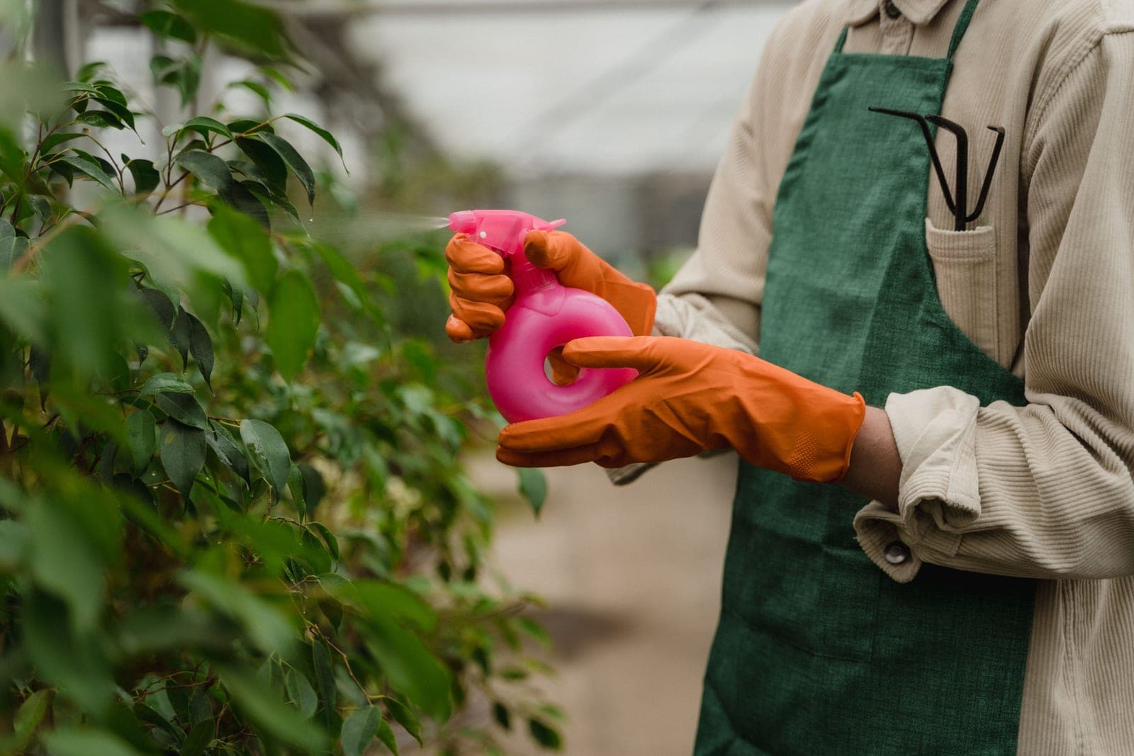 A garden spray bottle among green plants
