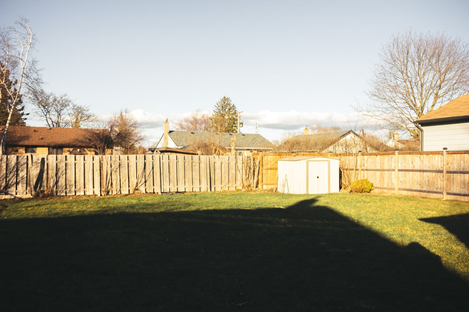 A garden shed and wooden fence in a backyard